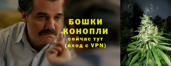 PSILOCYBIN Арсеньев