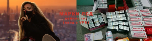 PSILOCYBIN Арсеньев